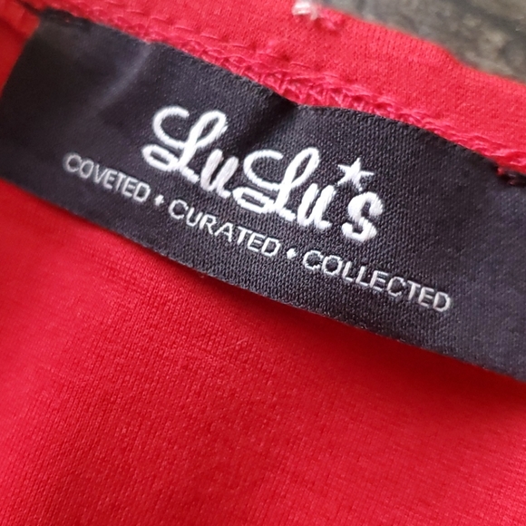 Lulu's Yes to the Mesh Skater Dress Red - Picture 4 of 10